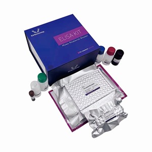 EasyStep İnsan VASP (vasodilatör uyarılmış fosfoprotein) ELISA seti, hızlı test, sadece 1.5h - Product Image 3