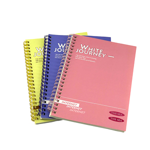 A spirale foderata diario taccuino con 300 pagine numerate ha governato riviste di scrittura con carta rigida quaderni per lavoro nero - Product Image 1