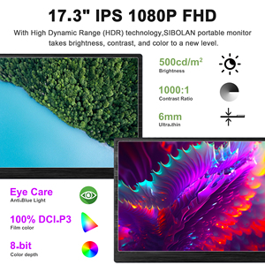 Raspberry Pi 3 USB-Computer mit 1920*1080 Full HD 17,3-Zoll-HDR-Monitor IPS-Panel Typ-C-Auflösung - Product Image 2