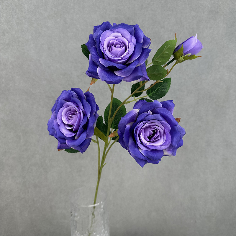 violet foncé