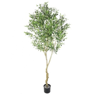 KDパッキングシミュレーション屋外オリーブの木植物風景オリーブの木の装飾2890葉210cm鉢のオリーブの木 - Product Image 1