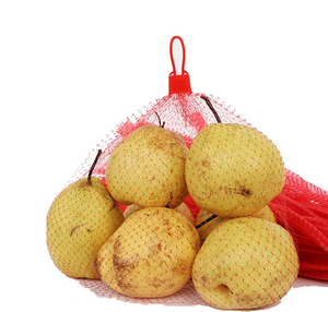 优质聚丙烯无结制网机hdpe网袋网pp单丝纱线挤出生产线 - Product Image 1