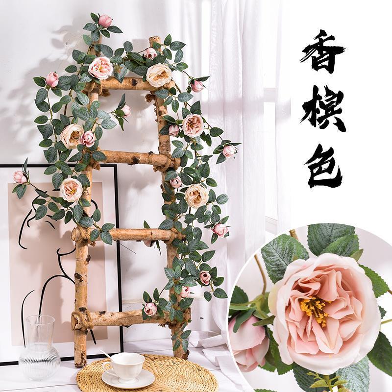 Vigne Austin Rose - Champagne