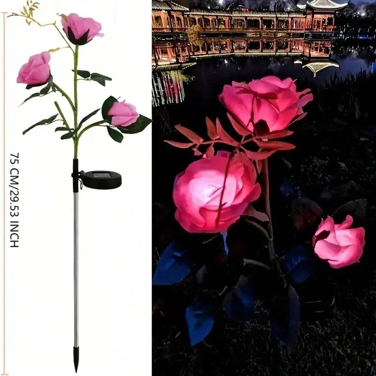 Pink rose