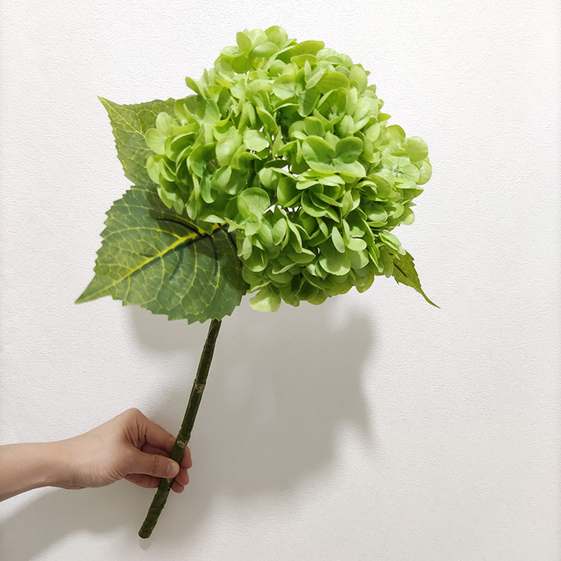 verde 2