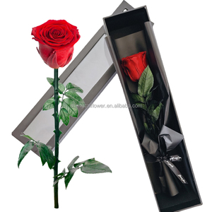 Özelleştirilmiş doğal korunmuş çiçekler sonsuz sonsuz sonsuza stabilize uzun kök güller kutuda korunmuş güller - Product Image 1