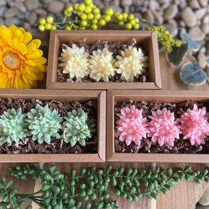 Nến hoa trà thủ công làm từ sáp đậu nành hoàn toàn tự nhiên - Product Image 1