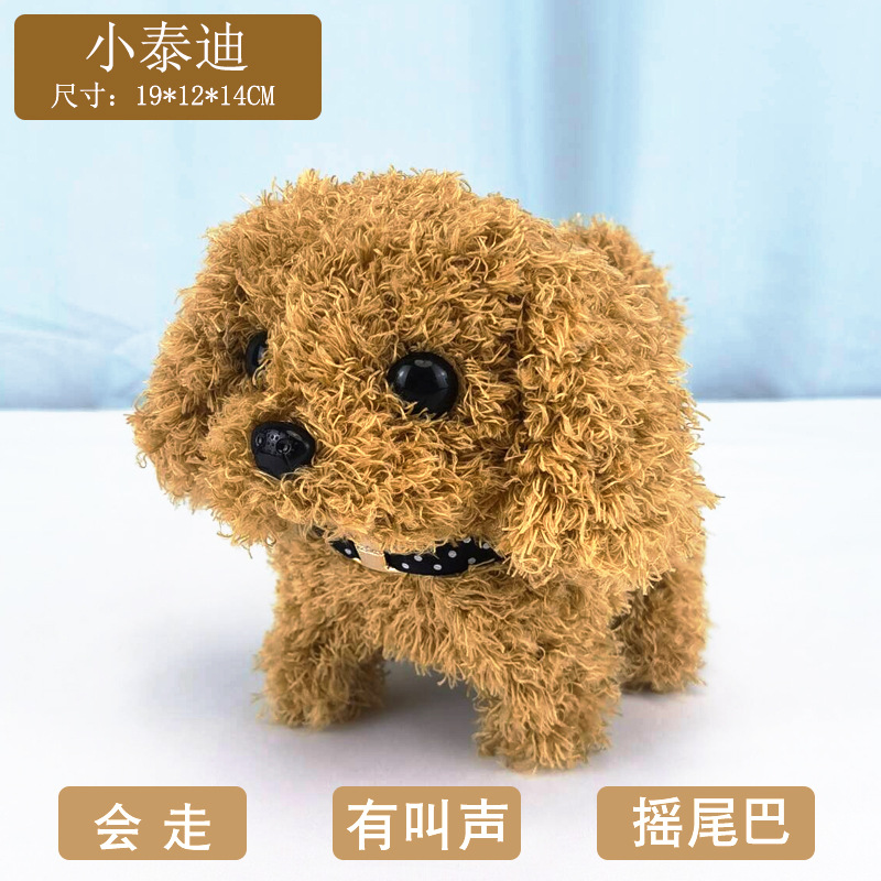 Little teddy