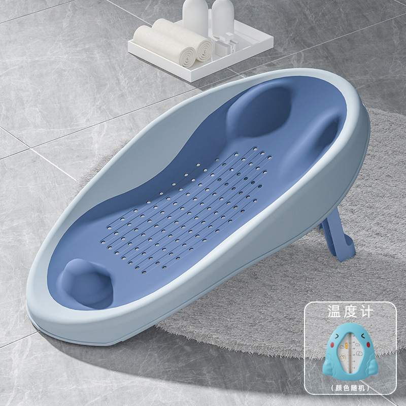 Blue Chick Thermometer