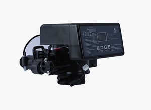Valvola di controllo automatica del filtro Runxin F68Q1/F68Q3 4 m3/h valvola di controllo dell'addolcitore dell'acqua per sistema di filtraggio dell'acqua ad osmosi inversa - Product Image 3