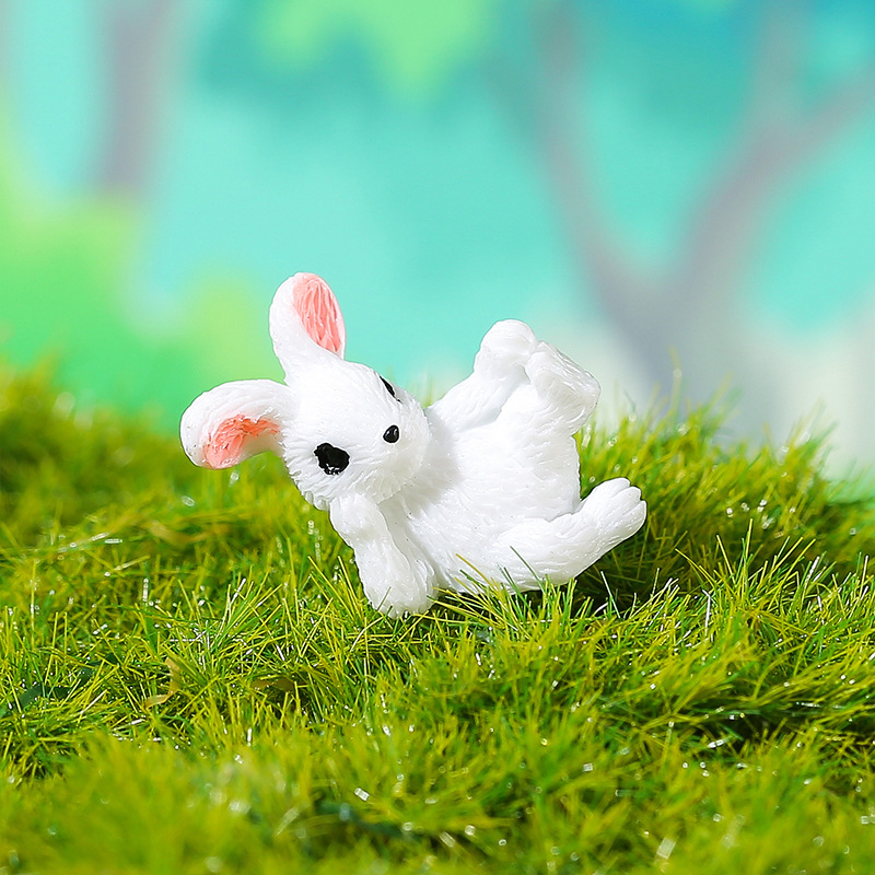Lapin blanc