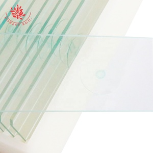Portaobjetos de microscopio de biología Uso Tallo de planta de Dicotiledóneas Diapositivas permanentes Diapositivas de botánica preparadas - Product Image 5