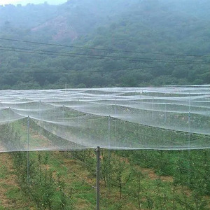 Suministro de fábrica 220gsm HDPE Anti Fly Aphid Net Red de insectos Invernadero Red a prueba de insectos - Product Image 6