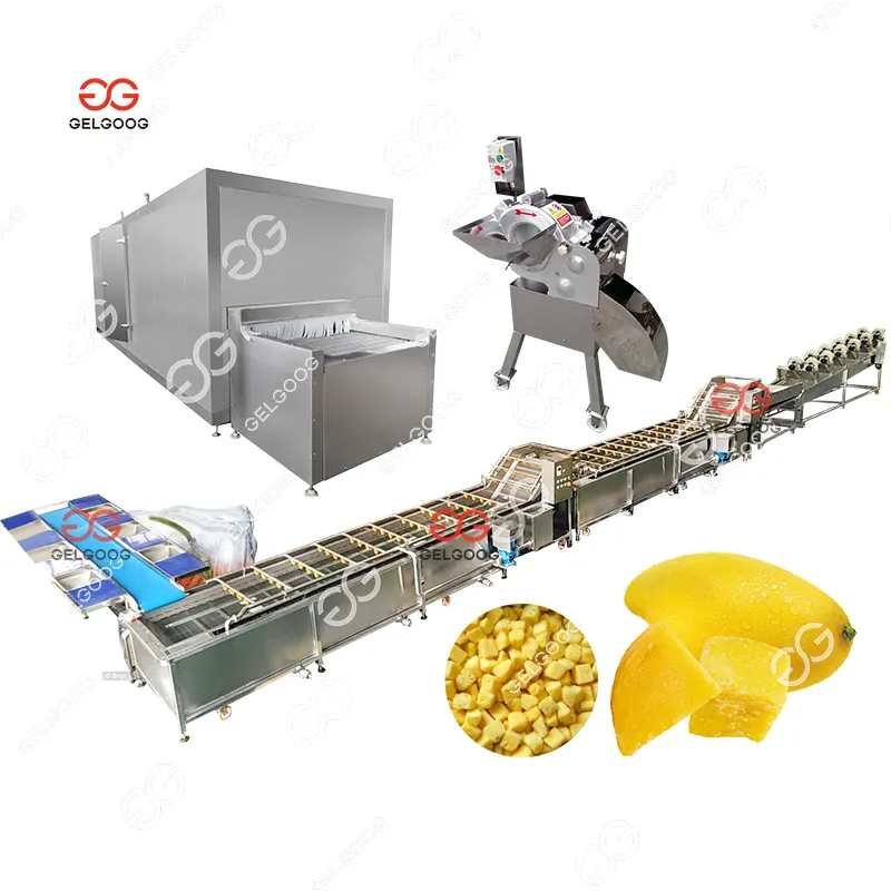 Equipo de túnel congelado para alimentos Línea de procesamiento de congelación rápida Iqf Línea de máquina de mango de congelación automática en cubos