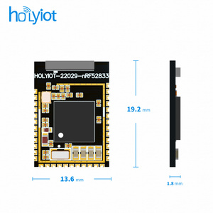 Holyiot nRF52833 largo alcance Bluetooth Micro Ble 5,3 módulo Zigbee hilo con CE FCC RoHS - Product Image 2