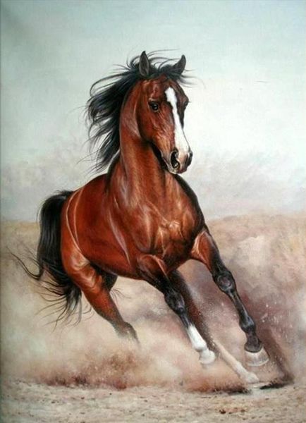 Lavande