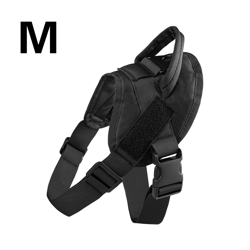 Noir-M