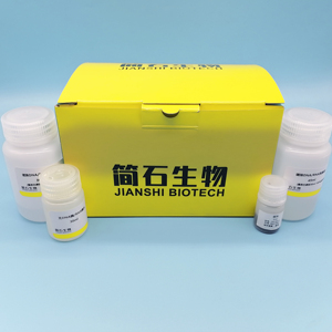 Magbead Viral DNA/RNA ชุดทดสอบการสกัดกรดนิวคลีอิกสำหรับการตรวจจับ PCR แบบเรียลไทม์ - Product Image 1
