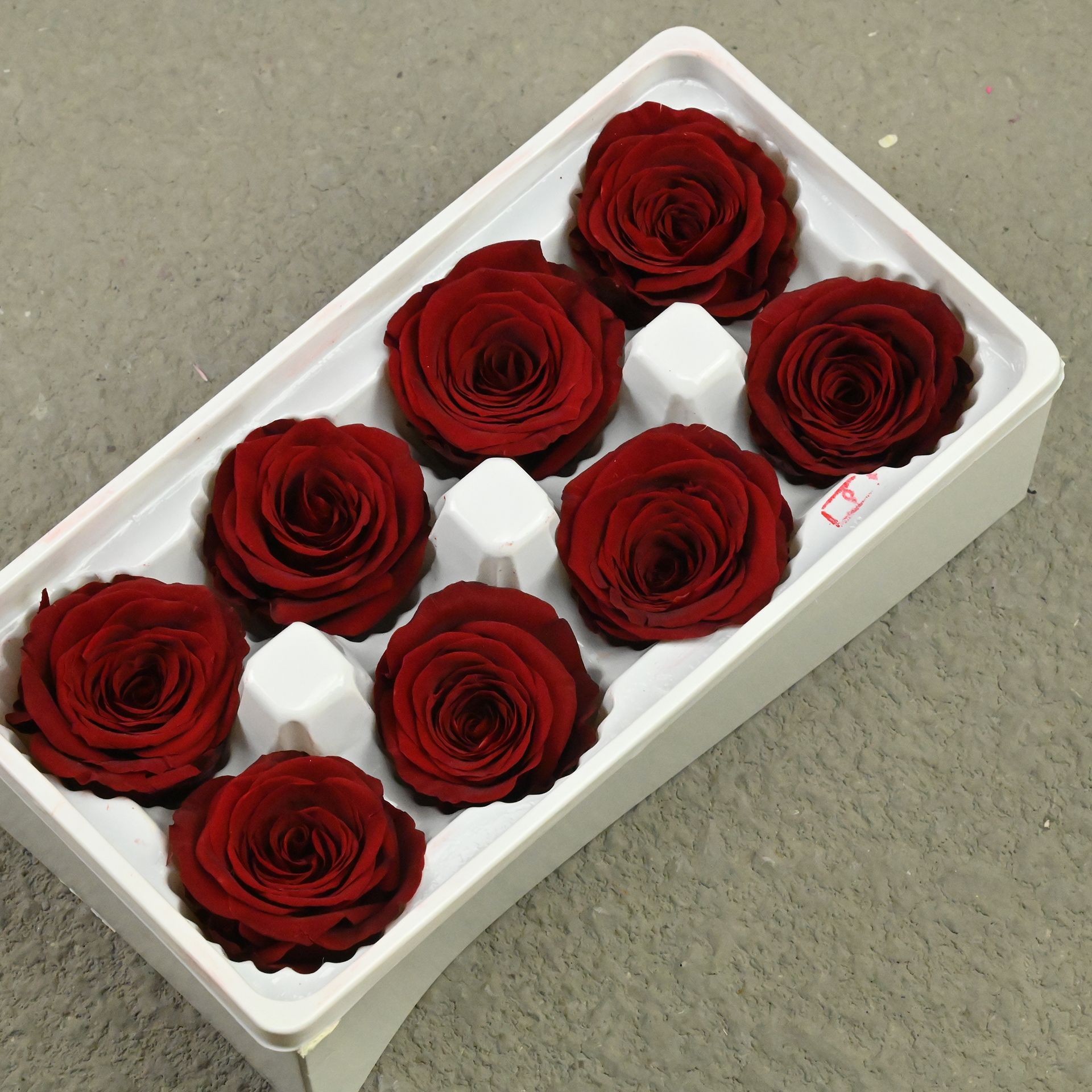 B rose 4-5 dark red-8 flowers