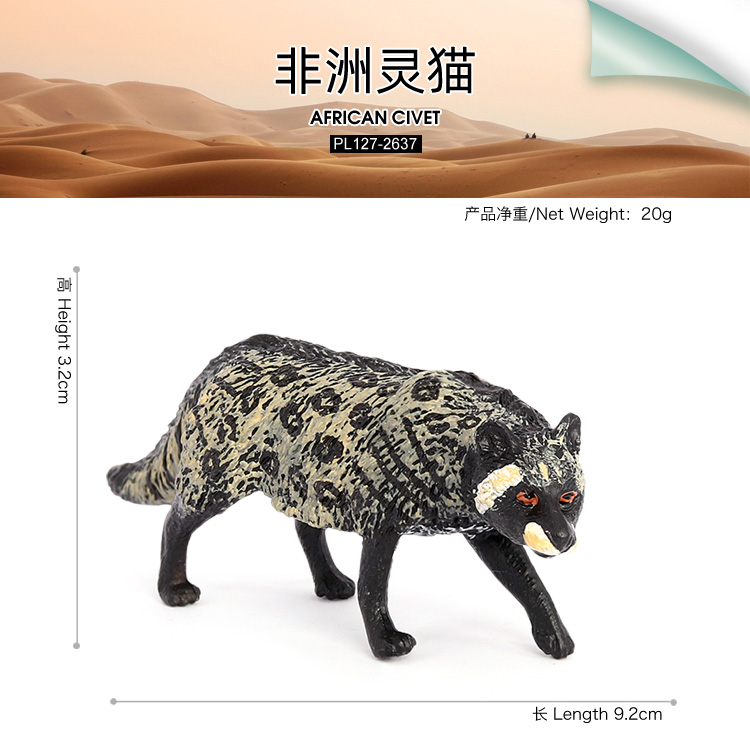 2637 Zibetto africano