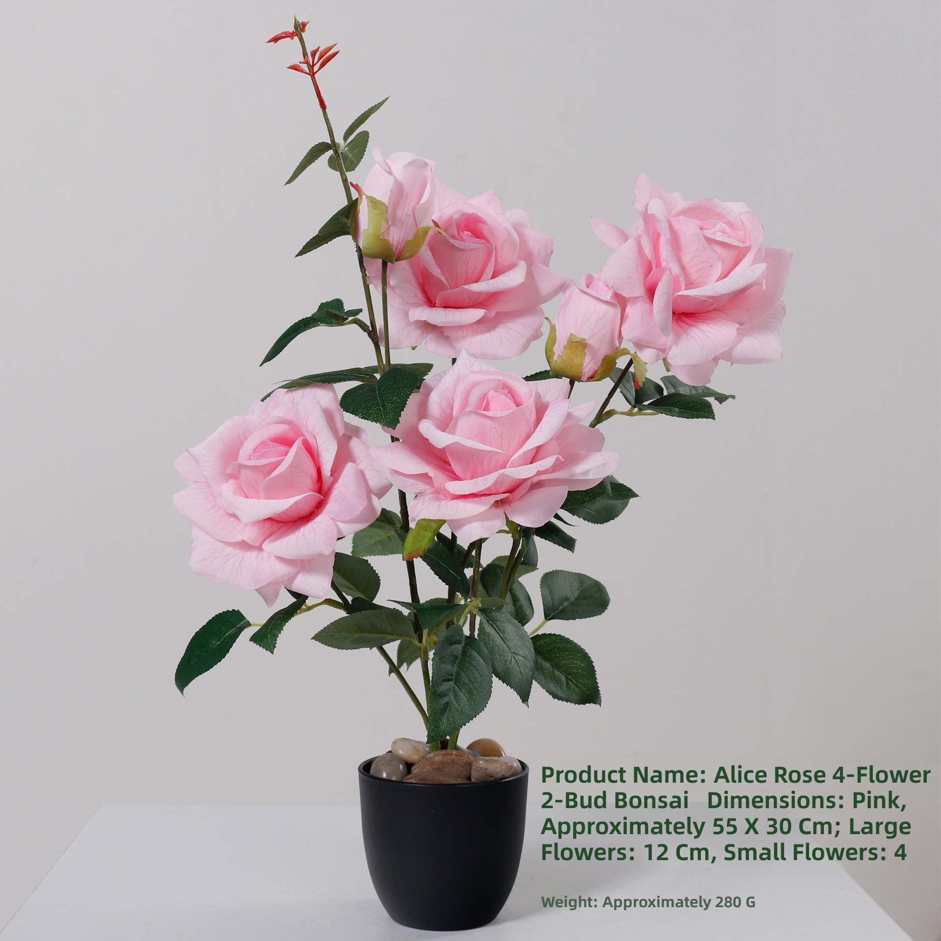 Rose sans pierre