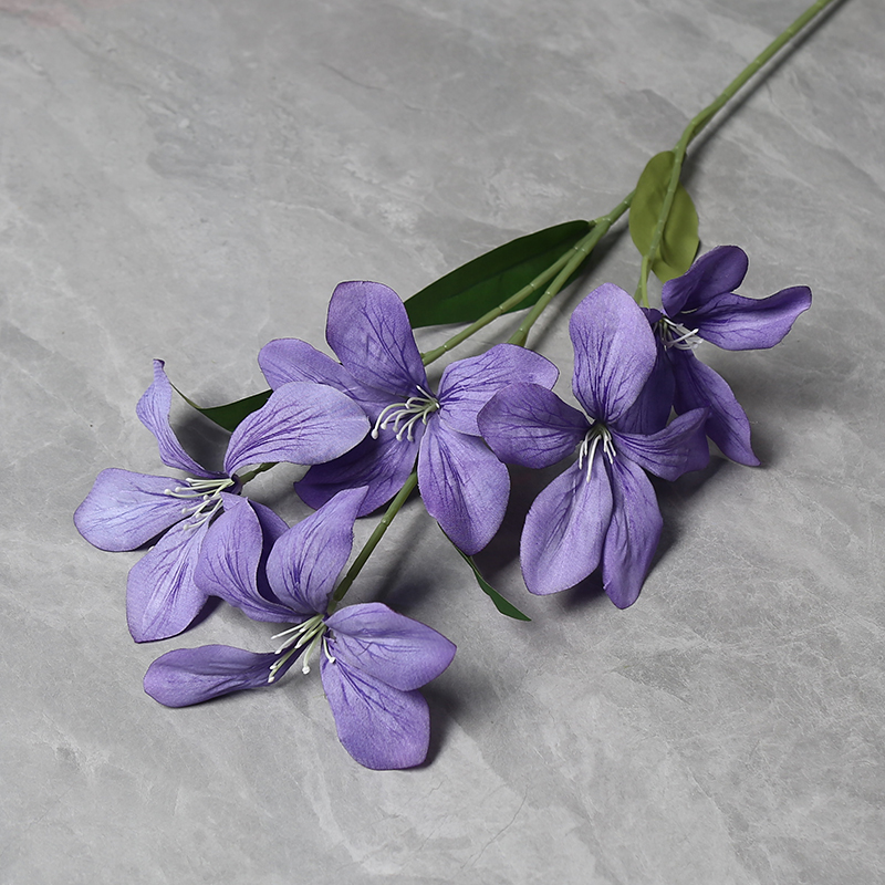 Purple1
