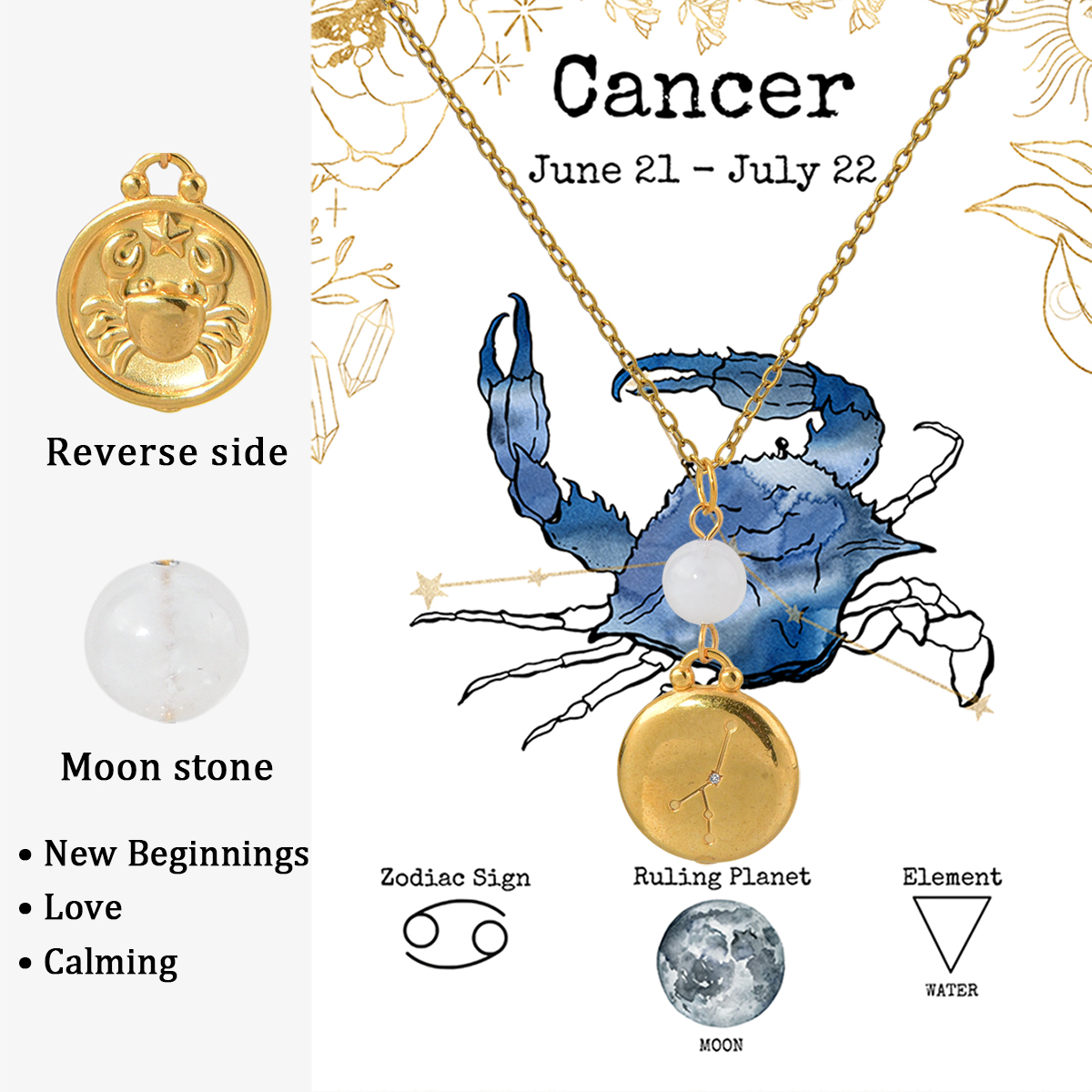 NE240212-4 Cancer