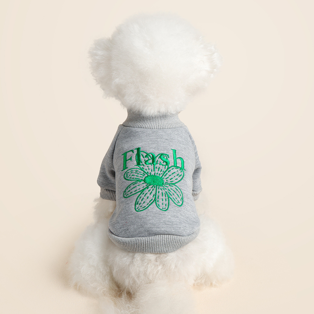 Dazzling Daisy Crew Neck Shirt