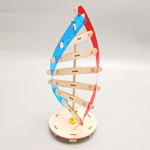 DNA çift sarmal yapısı modeli teknolojisi küçük el yapımı diy İnsan gen biyolojik bilim deney ekipmanları DNA modeli - Product Image 5