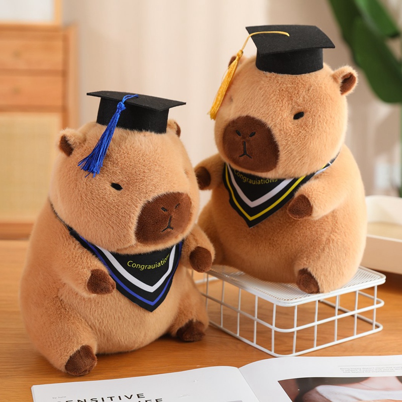 Doctor Hat capybara Guinea Pig Graduation Commemorative <strong>Gift</strong> School <strong>gifts</strong> for girl for boy - Product Image 5