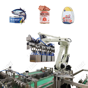 Lwt Secondary Packaging <strong>System</strong> <strong>Automatic</strong> Paper Boxes Carton <strong>Robotic</strong> Case Packing Packer <strong>Machine</strong> - Product Image 3