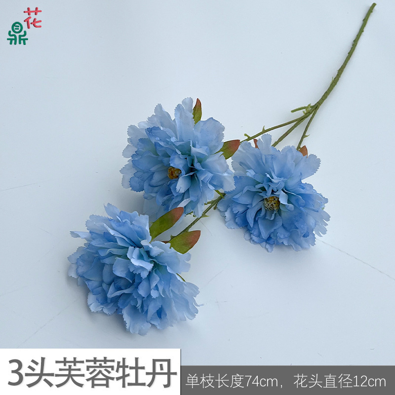 ดอกโบตั๋นชบา3หัว Y สีฟ้าอ่อน