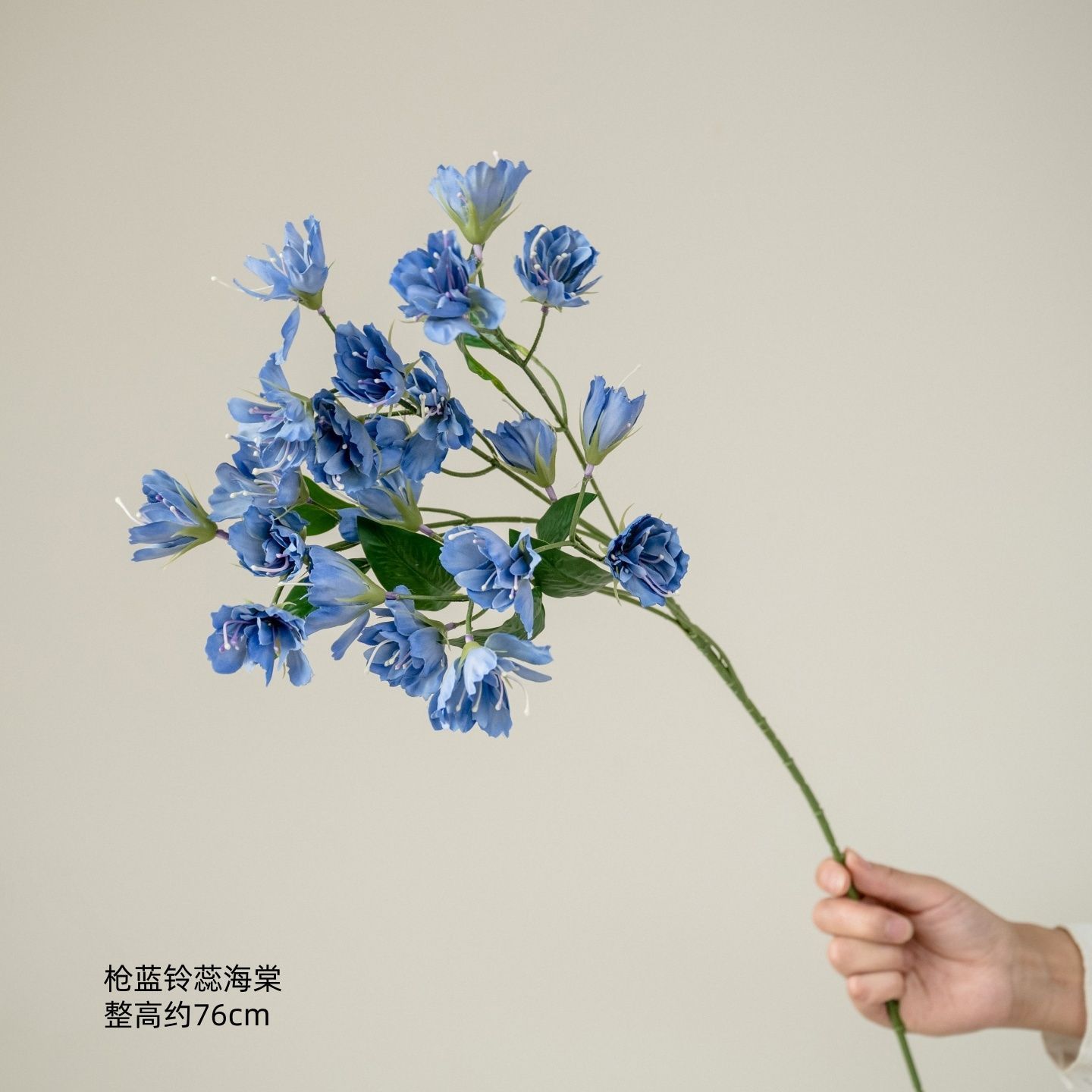 Bégonia Bleu