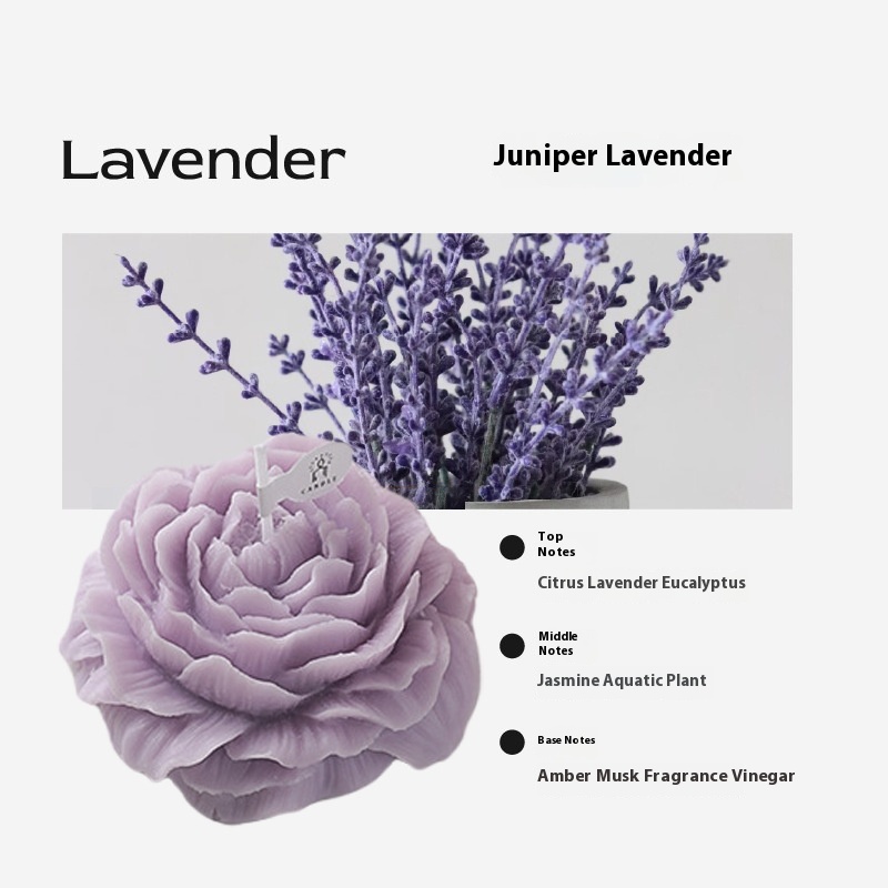 Purple/Lavender