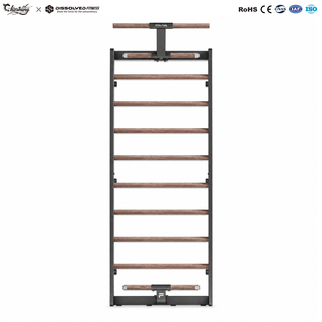 Black Wall Bars