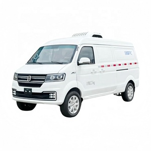 Bán tốt nhất 4*2 Mini lạnh xe tải Tủ đông nhỏ lạnh hộp xe tải giá mới kem xe tải - Product Image 1