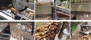 Máquina de apertura de vainas de cacao de nuevo diseño Máquina de extracción de vainas de cacao Máquina de extracción de vainas de frijol - Product Image 6
