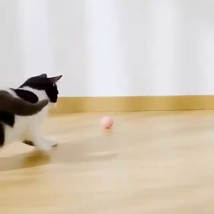 Juguetes interactivos y de movimiento para gatos inteligentes, Bola de hierba gatera rodante automática automóvil hecha de silicona duradera para gatos - Product Image 5