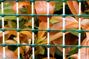 Rete a traliccio in plastica al miglior prezzo rete a rete da giardino per la protezione delle piante all'aperto - Product Image 3