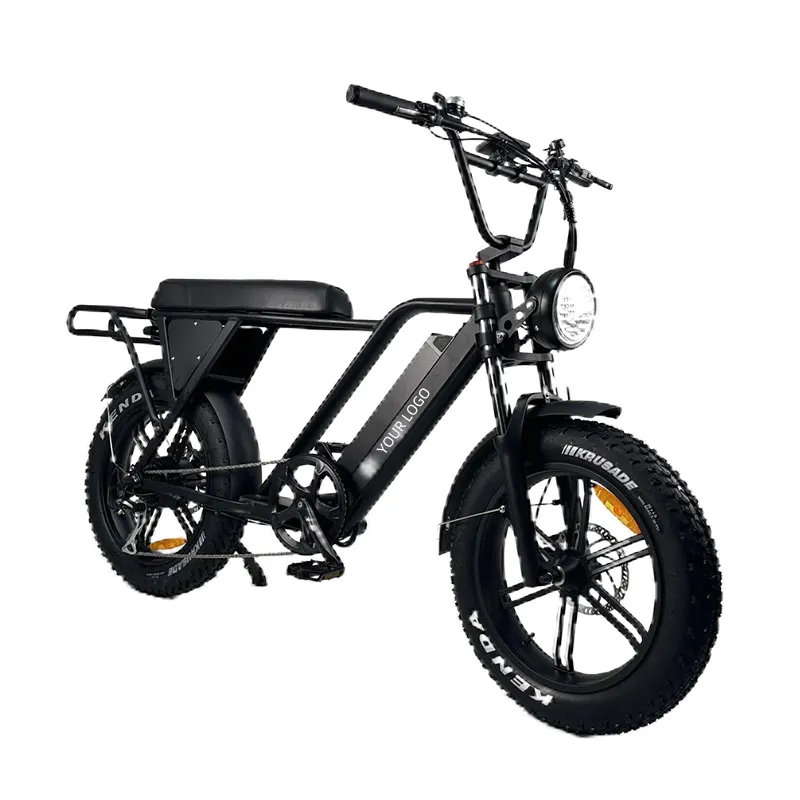 New Design 750W Dual Batteries 20inch Fat Tire Mountain Ebike Electric Long Range Bike With Double Seat