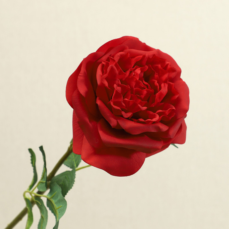 Rojo