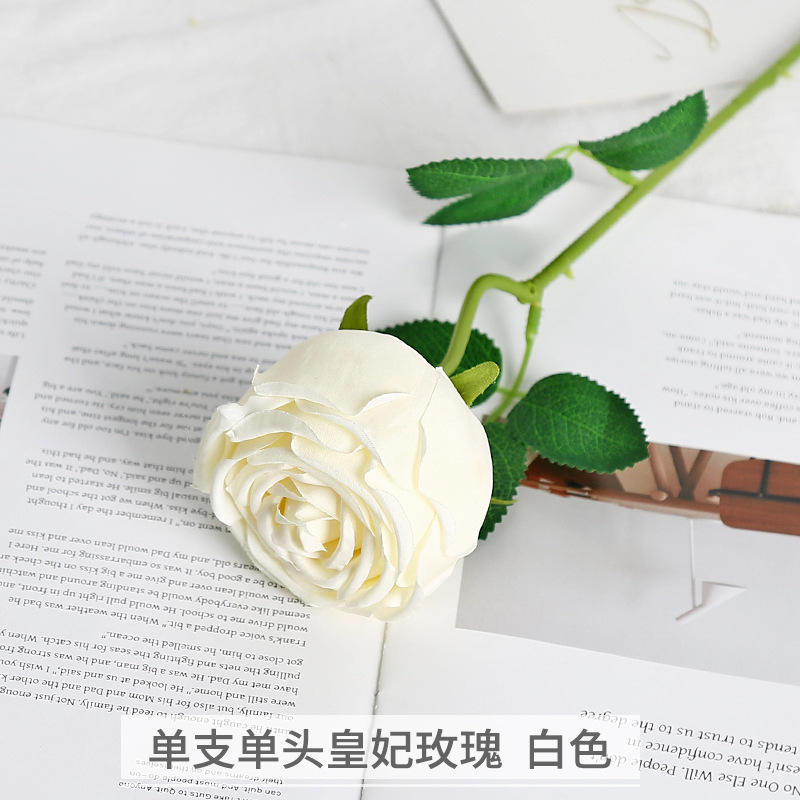 เจ้าหญิงหัวเดี่ยวสีขาวกุหลาบ