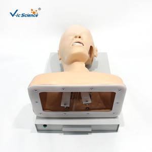 Advanced <strong>Human</strong> Tracheal Intubation Training Model - Product Image 3