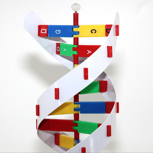Bilim dna model seti 23x22x68.5 cm sarmal dna yapı modeli biyolojik eğitim için - Product Image 2