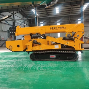 Çatı montajı ve depolama için teleskopik bomlu mobil örümcek paletli vinç 3t yük kapasitesi - Product Image 1