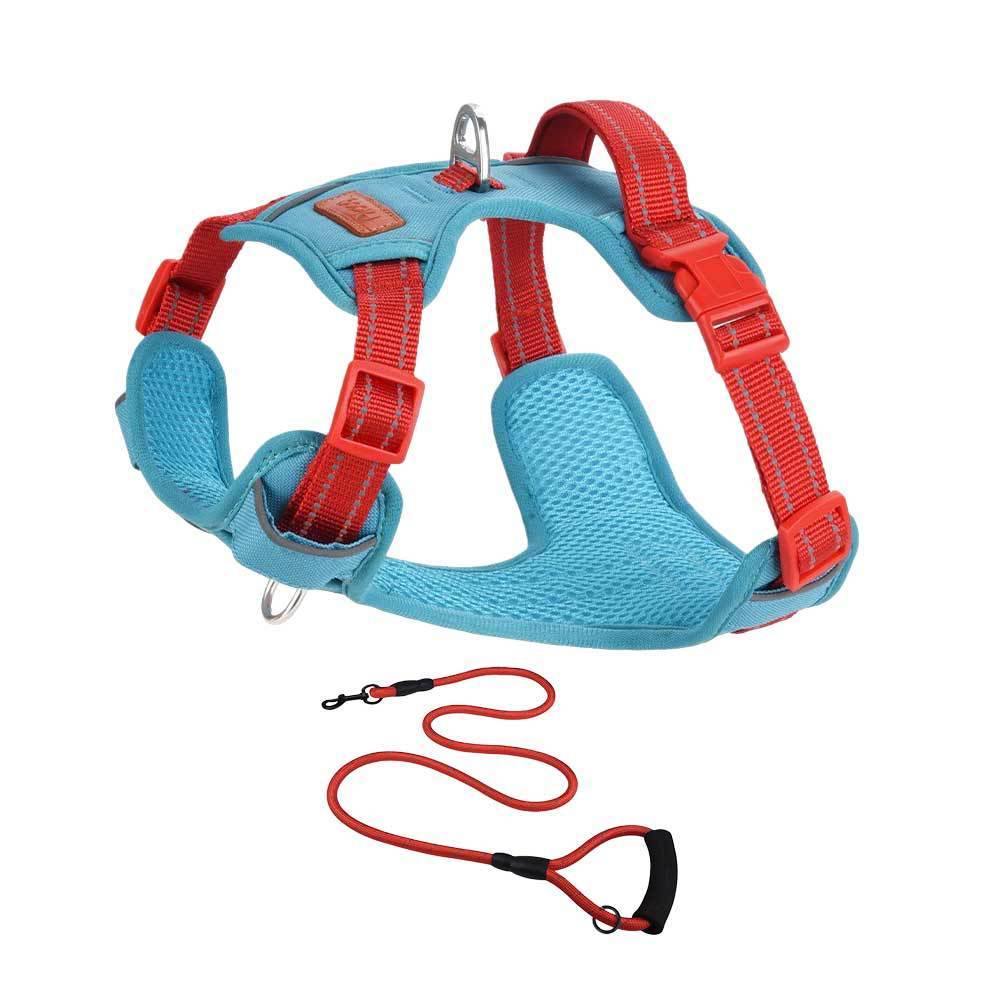 Ensemble bleu et rouge
