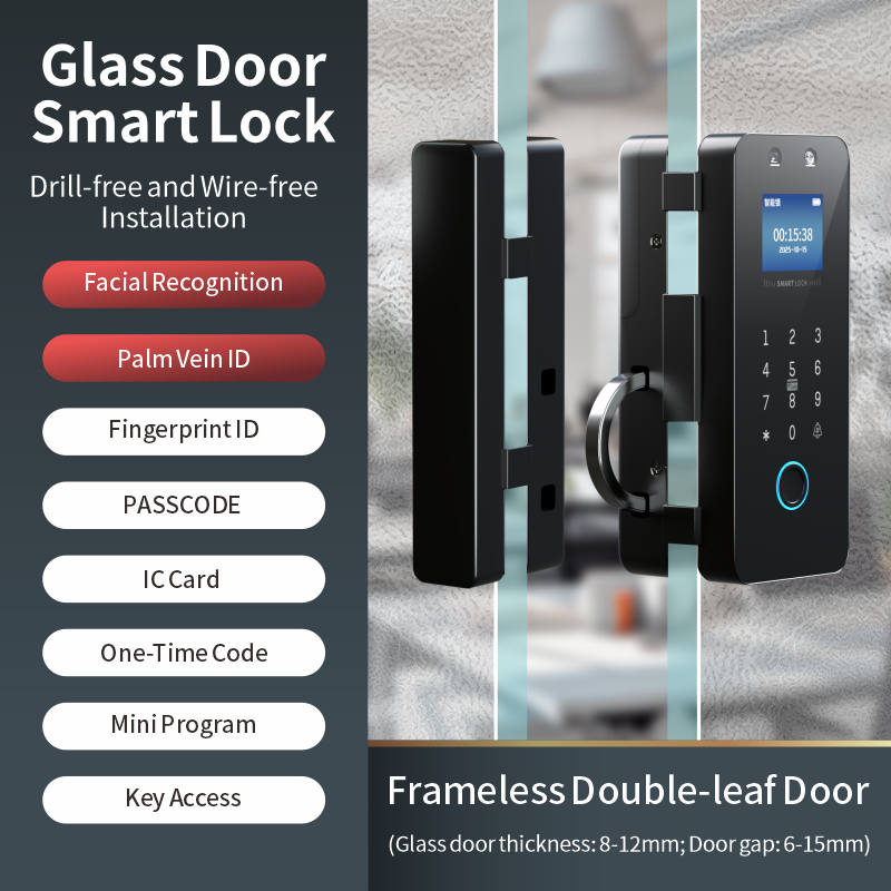 Frameless Double Door