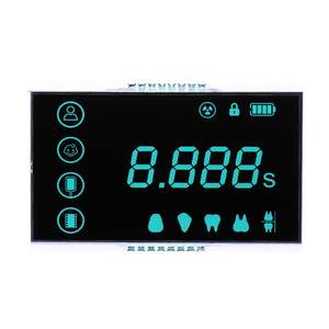 OEM & ODM LCD Factory VA Schwarzer monochromer LCD-Bildschirm BTN Benutzer definiertes LCD-Anzeige modul 7-Segment-Anzeige - Product Image 3