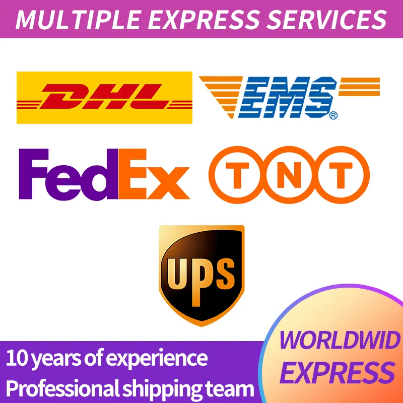DDP Tnt aumenta il servizio espresso Fedex Dhl per USA CA Svezia Francia Europa spedizioniere porta a porta