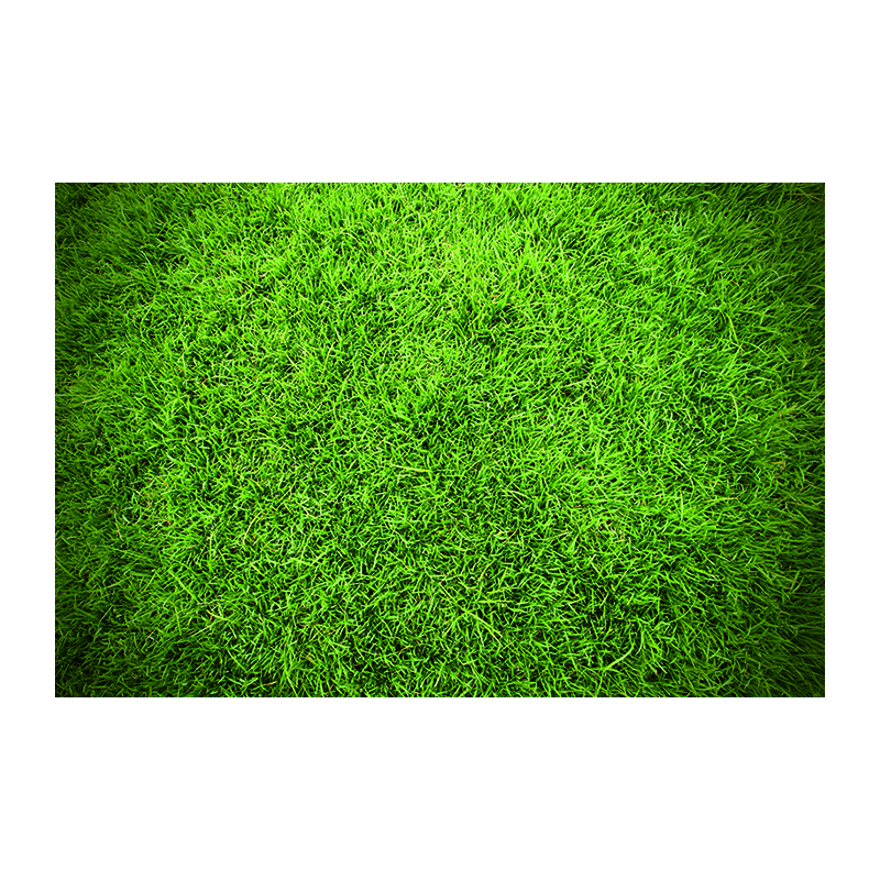 Color 2